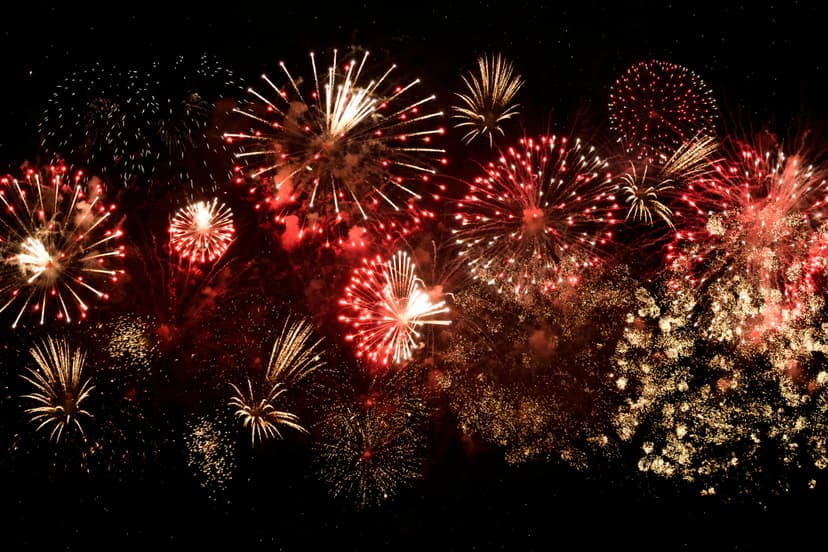 Happy customer at firework display
